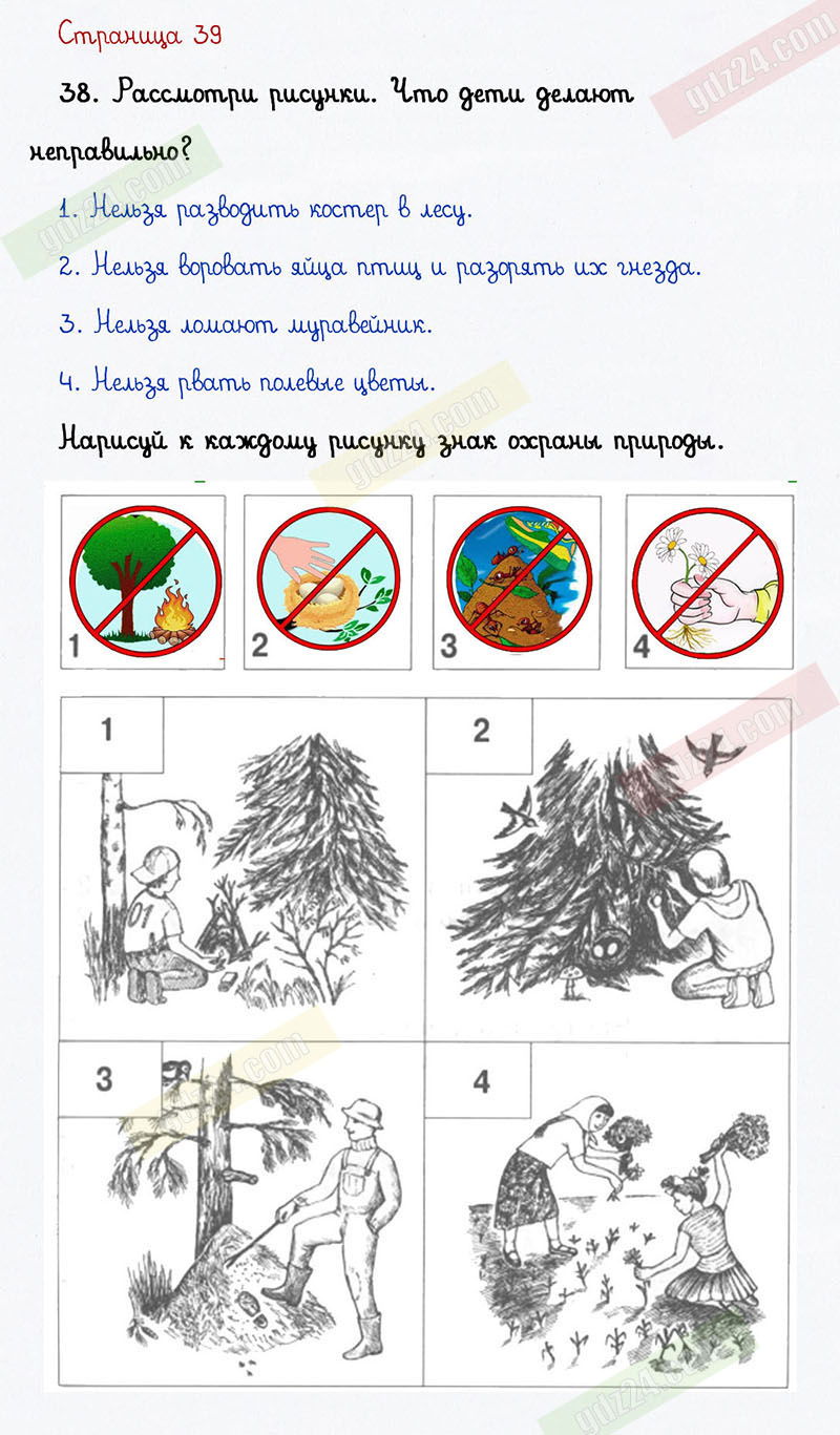 Ответы к заданиям на 39 странице тетради для самостоятельной работы по окружающему  миру Федотовой, Трафимовой, Трафимова за 1 класс