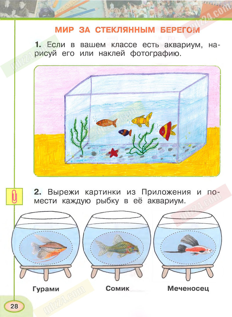 Материалы к проекту напиши наклей нарисуй. Окружающий мир 1 класс рабочая тетрадь 1 часть Плешаков ответы стр 10. Окружающий мир рабочая тетрадь 1 класс стр 28 стр. 29. Окружающий мир 1 класс рабочая тетрадь 1 часть стр 28. Окружающий мир. Рабочая тетрадь. 1 Класс. Часть 1.