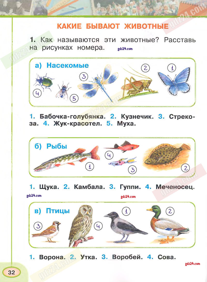 Ответы к заданиям на 32 странице рабочей тетради по окружающему миру  Плешаков, Новицкая за 1 класс 1 часть