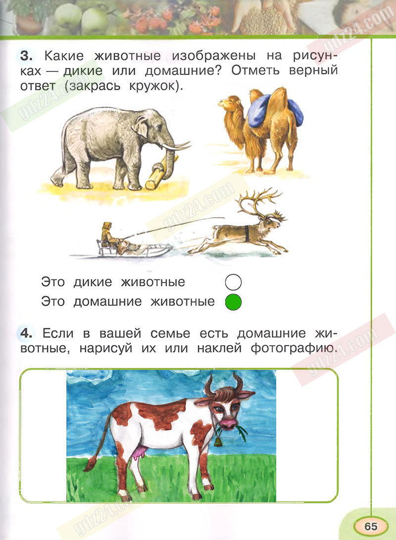 Ответы к заданиям на 65 странице рабочей тетради по окружающему миру  Плешаков, Новицкая за 1 класс 1 часть