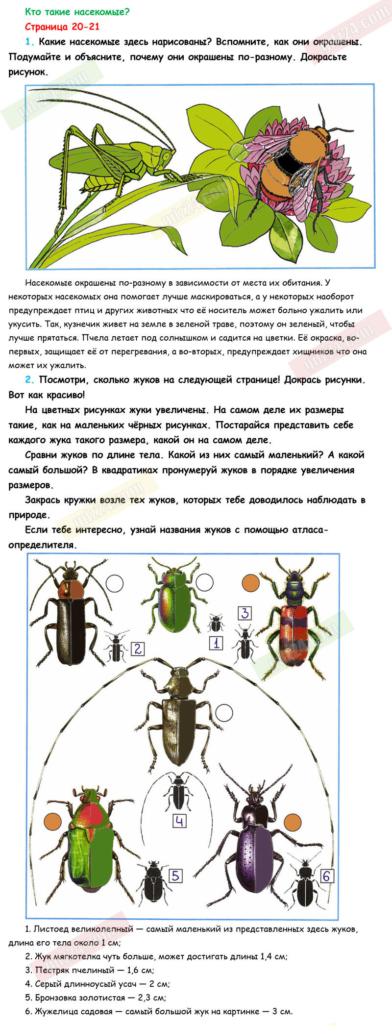 Ответы к заданиям на 22 странице рабочей тетради по окружающему миру  Плешаков за 1 класс 1 часть