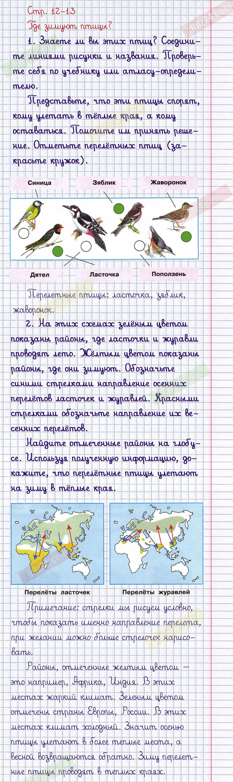 Ответы к заданиям на 12-13 странице рабочей тетради по окружающему миру  Плешаков за 1 класс 2 часть