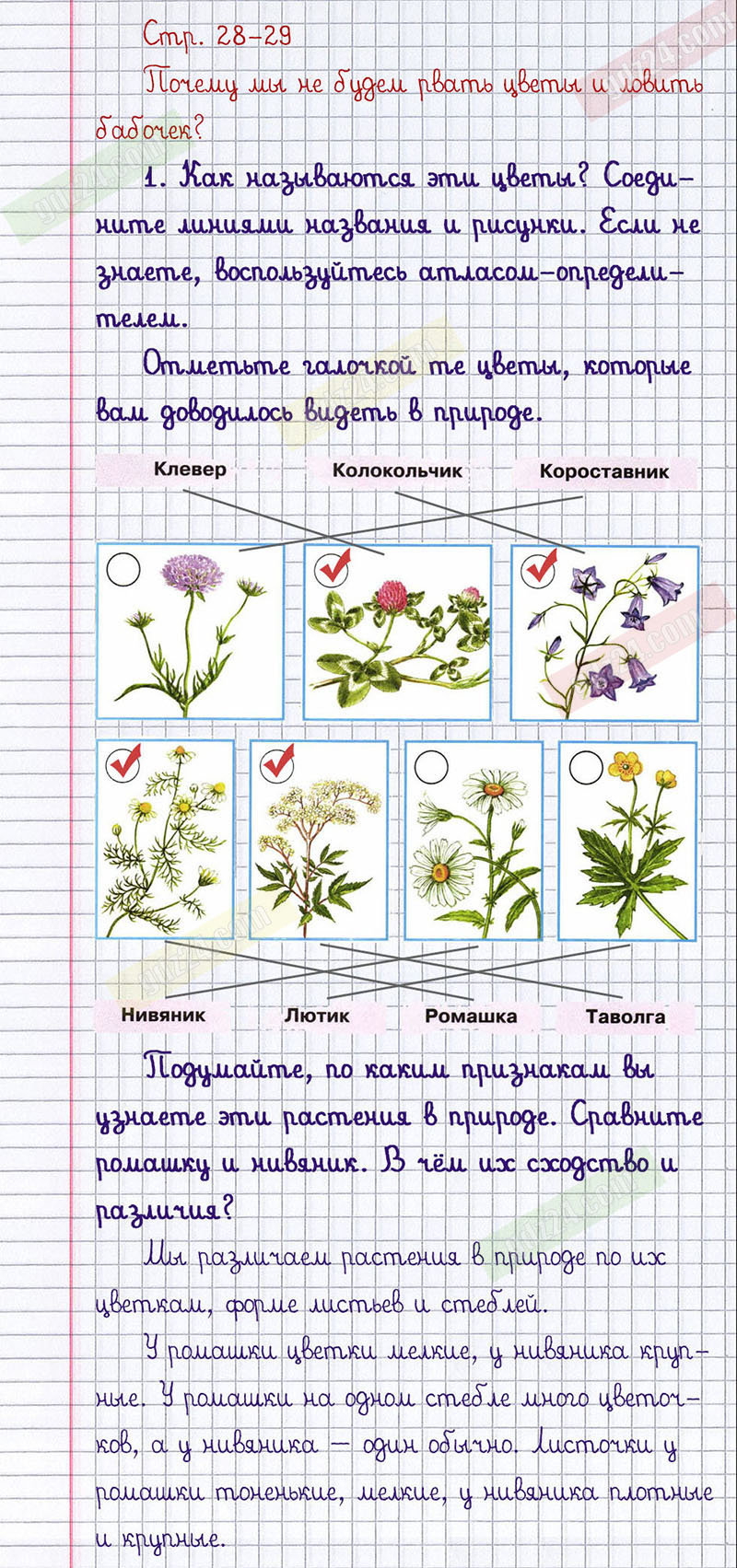 Окружающий мир рабочая тетрадь класс страница 28. Окружающий мир 2 класс рабочая тетрадь Плешаков стр 28-29. Окружающий мир 2 класс рабочая тетрадь 1 часть стр 28. Окружающий мир. Рабочая тетрадь. 1 Класс. Часть 2. Гдз окружающий мир 2 класс рабочая тетрадь.