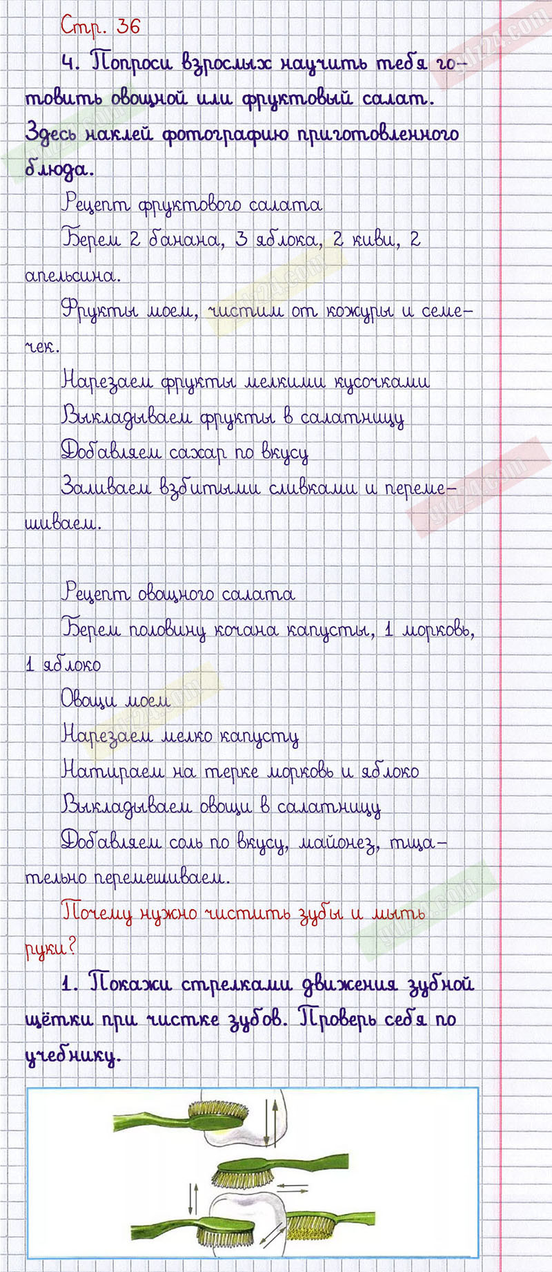 Ответы к заданиям на 36 странице рабочей тетради по окружающему миру  Плешаков за 1 класс 2 часть